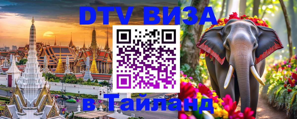 Оформление DTV визы под ключ: стоимость и тарифы, только загранпаспорт - 21.11.2025 